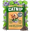 Catnip Seeds – Heirloom Herb (2,116 Non-GMO Seeds)