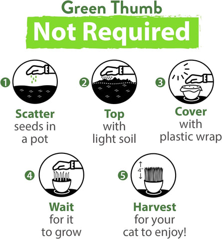 Cat Grass Seeds – Premium Non-GMO USA-Grown Blend for Healthy Indoor Cats