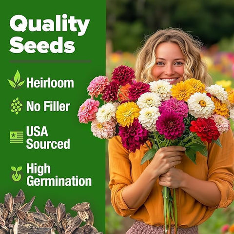 Zinnia Dahlia Seeds (1048 Count) – Premium High-Germination Flower Seeds for Vibrant Blooms, Cut Flowers & Summer Gardens