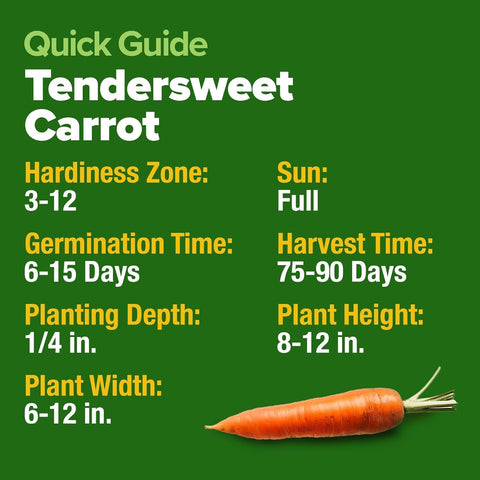 Tendersweet Carrot Seeds – 3000 Non-GMO Heirloom Seeds for Outdoor Garden Growing
