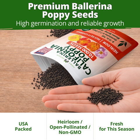 California Poppy Seeds (Eschscholzia Californica) Ballerina Mix - 10,000 Non-GMO Heirloom Seeds, Orange Pink Red Rose & Cream, Drought-Tolerant