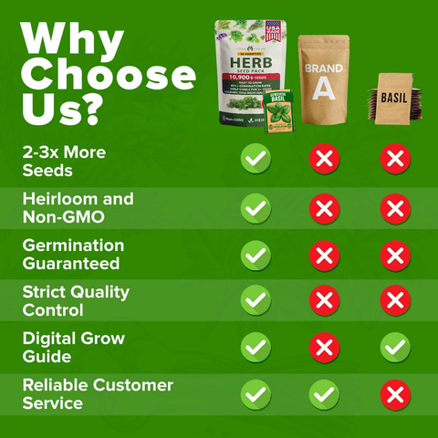 Culinary Herb Seed Vault - (30 Variety)