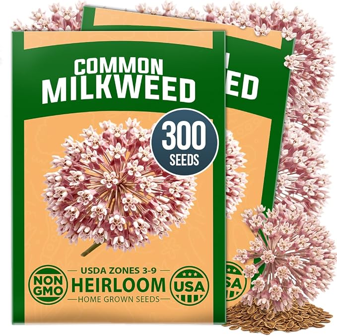 HOME GROWN Milkweed Flower Seeds for Planting Common – 300 seeds, Fragrant Pink Wildflower, Monarch Butterfly Host, Heirloom Non-GMO Native Pollinator Garden, Zones 3–9 Perennial