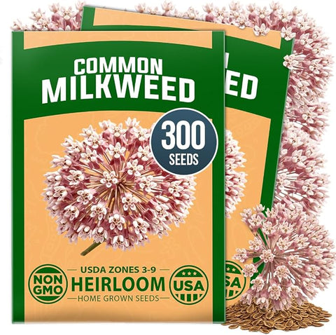 HOME GROWN Milkweed Flower Seeds for Planting Common – 300 seeds, Fragrant Pink Wildflower, Monarch Butterfly Host, Heirloom Non-GMO Native Pollinator Garden, Zones 3–9 Perennial