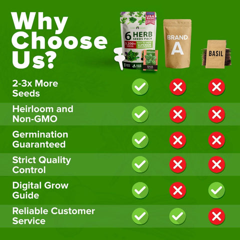 Herb Seed Variety Pack – 6 Non-GMO Culinary Herbs for Indoor, Outdoor & Hydroponic Growing