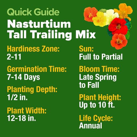 Nasturtium Seeds – Edible Flower Variety (250 Seeds)