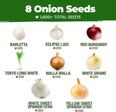 8 Onion Seeds Pack