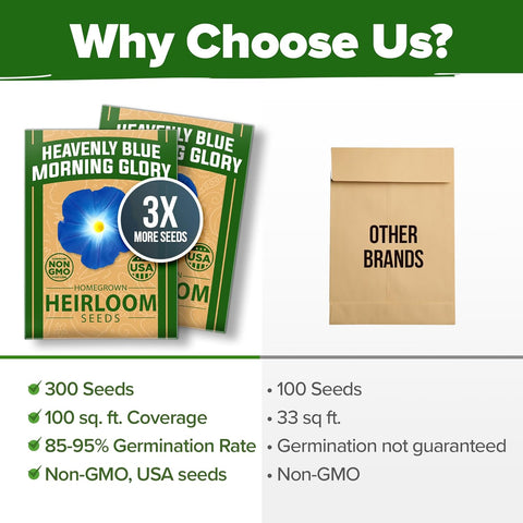 Heavenly Blue Morning Glory Seeds – Non-GMO Heirloom Flower Seeds For Planting, High Germination, Pollinator-Friendly Garden Blooms