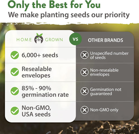 12 Winter Vegetable Seed Pack – Non-GMO, Heirloom Garden Seeds for Cold-Season Growing – High Germination, USA-Sourced Variety Kit