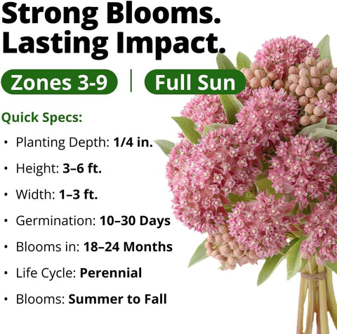HOME GROWN Milkweed Flower Seeds for Planting Common – 300 seeds, Fragrant Pink Wildflower, Monarch Butterfly Host, Heirloom Non-GMO Native Pollinator Garden, Zones 3–9 Perennial