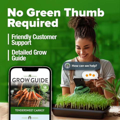 Tendersweet Carrot Seeds – 3000 Non-GMO Heirloom Seeds for Outdoor Garden Growing