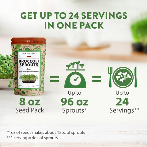 broccoli seeds for planting Broccoli Sprouting Seeds, 8oz, Non-GMO, USA Grown