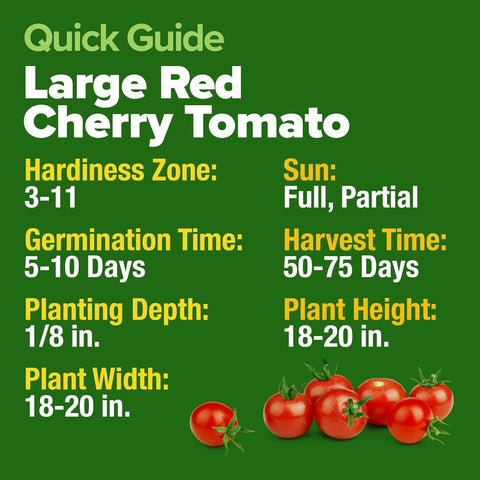 Cherry Tomato Seeds – Heirloom, Non-GMO – 1000 Seed Count | High Yield, Indoor/Outdoor, Hydroponic Friendly