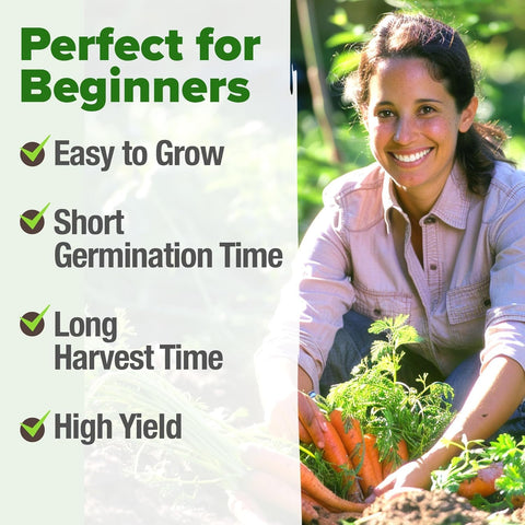 Tendersweet Carrot Seeds – 3000 Non-GMO Heirloom Seeds for Outdoor Garden Growing