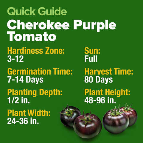 Cherokee Purple Tomato Seeds – Heirloom, Non-GMO, High Germination Rate, Easy to Grow, Ideal for Indoor, Outdoor & Hydroponic Gardens