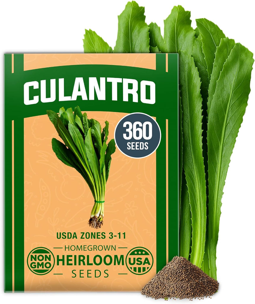 Culantro Seeds – Heirloom Recao Eryngium Foetidum Herb (360 Non-GMO Seeds)