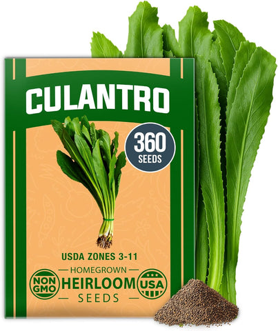 Culantro Seeds – Heirloom Recao Eryngium Foetidum Herb (360 Non-GMO Seeds)