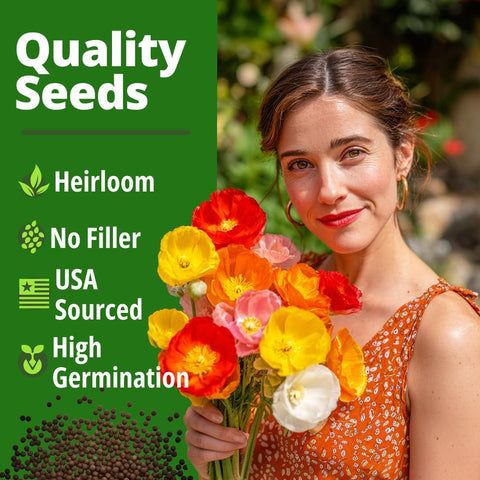 HOME GROWN California Poppy ‘Mission Bells’ – 2,200 Seeds (2g), Drought-Tolerant Annual Flower Seeds for Sunny Spring & Summer Gardens