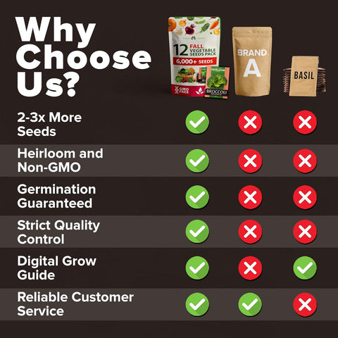 Fall & Winter Vegetable Seed Pack – 6,000+ Non-GMO Heirloom Seeds for Cold-Season Gardening – Easy-Grow Cool Weather Veggies