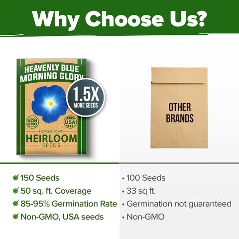 bulk morning glory seeds Heavenly Blue Morning Glory Seeds, 150 ct, Non-GMO