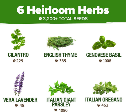 Herb Seed Variety Pack – 6 Non-GMO Culinary Herbs for Indoor, Outdoor & Hydroponic Growing
