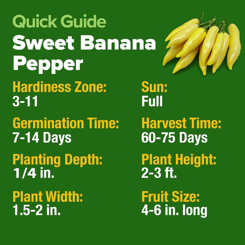 Banana Pepper Seeds – 188 Non-GMO Heirloom Vegetable Seeds for High-Germination Growing