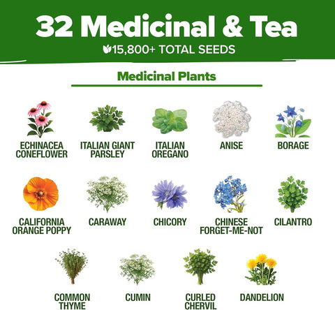 HOME GROWN Medicinal Herb Seeds Variety Pack – 32 Non-GMO Heirloom Herbs for Tea & Wellness, Indoor & Outdoor Garden Kit