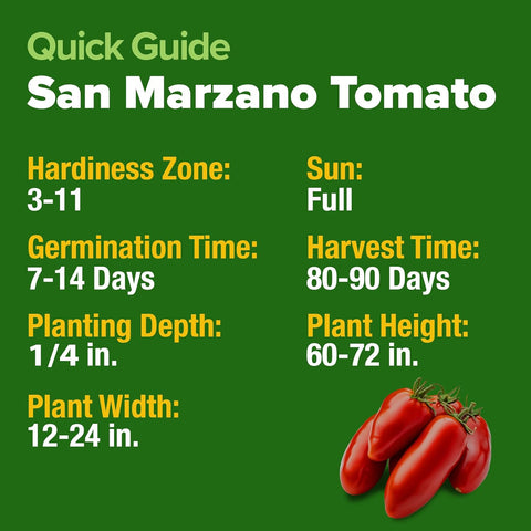 San Marzano Tomato Seeds – Authentic Heirloom, Non-GMO, High Germination, Indoor/Outdoor & Hydroponic Gardening