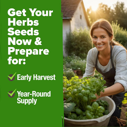 20 Herb Seed Variety Pack – 6000+ Non-GMO Culinary & Medicinal Seeds + 20 Plant Markers