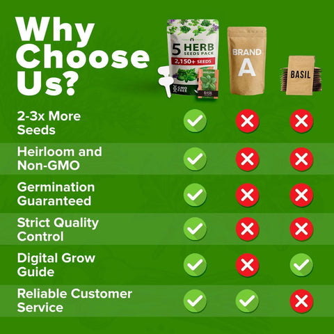 Herb Seed Variety Pack – 5 Non-GMO Culinary Herb Seeds for Indoor & Outdoor Growing