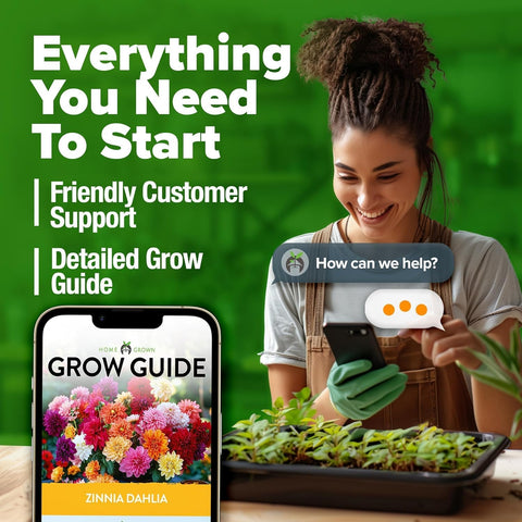 Zinnia Dahlia Seeds (1048 Count) – Premium High-Germination Flower Seeds for Vibrant Blooms, Cut Flowers & Summer Gardens