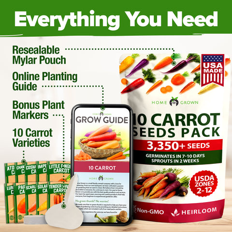 10 Varieties Rainbow Carrot Seeds