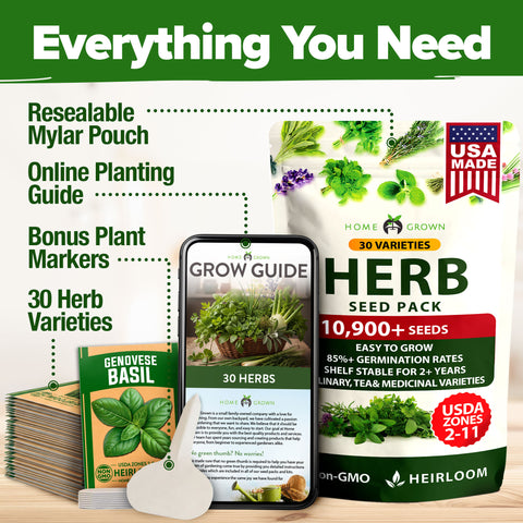 Culinary Herb Seed Vault - (30 Variety)