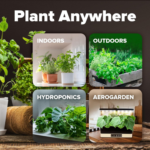 12 Winter Vegetable Seed Pack – Non-GMO, Heirloom Garden Seeds for Cold-Season Growing – High Germination, USA-Sourced Varie…