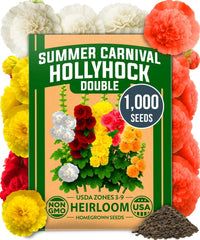 HOME GROWN Hollyhock Mix Seeds – 1000+ Premium Annual Flower Seeds For Vibrant Summer Blooms, Pollinator Gardens & Cottage Borders