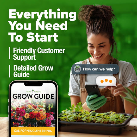 California Giant Zinnia Seeds – Large, Vibrant Blooms in 6 Bold Colors