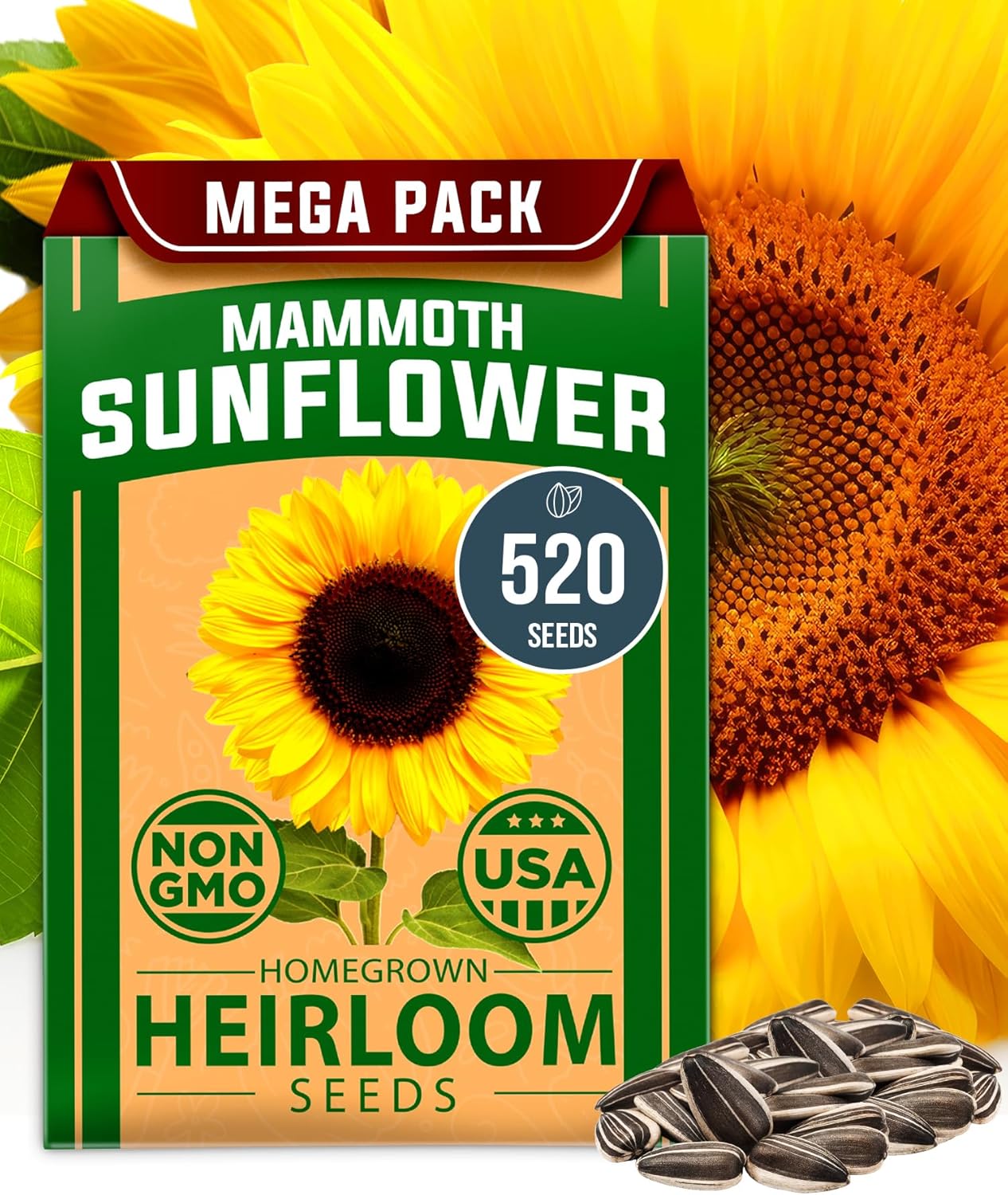Mammoth Sunflower Seeds – Giant 12 ft Heirloom Variety (520 Seeds)