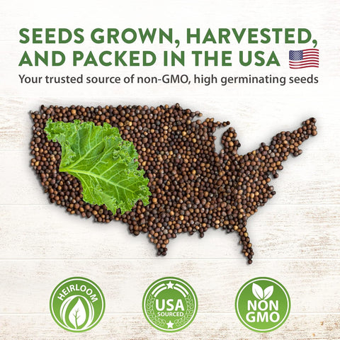 20-Variety Lettuce Seed Pack – 21,600+ Non-GMO Heirloom Salad Greens for Indoor & Outdoor Growing