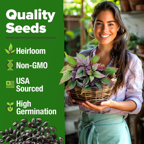 thai garden seeds Thai Basil Seeds, 876 ct, Non-GMO Heirloom