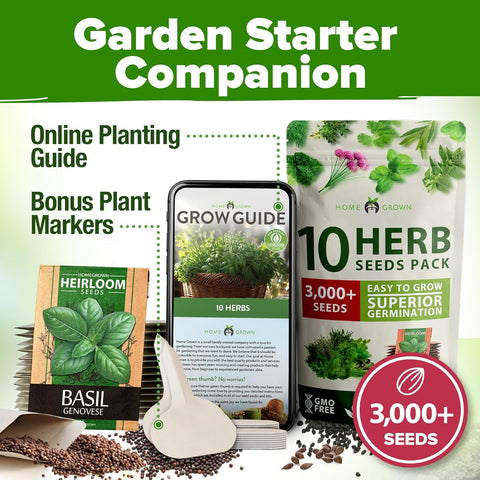 Herb Garden Seed Kit – 10 Non-GMO Culinary Herb Varieties for Indoor, Outdoor & Hydroponic Growing