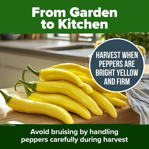 Banana Pepper Seeds – 188 Non-GMO Heirloom Vegetable Seeds for High-Germination Growing