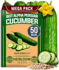 Beit Alpha Persian Cucumber Seeds – 100+ Fast-Growing Non-GMO Seeds
