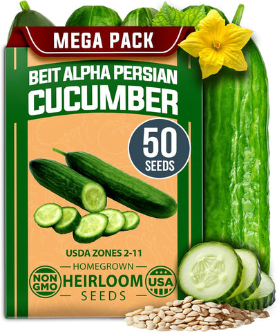 Beit Alpha Persian Cucumber Seeds – 100+ Fast-Growing Non-GMO Seeds