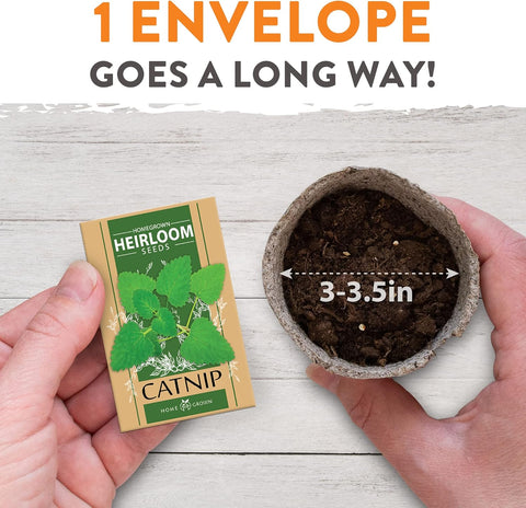 Cat Grass Seeds – Premium Non-GMO USA-Grown Blend for Healthy Indoor Cats