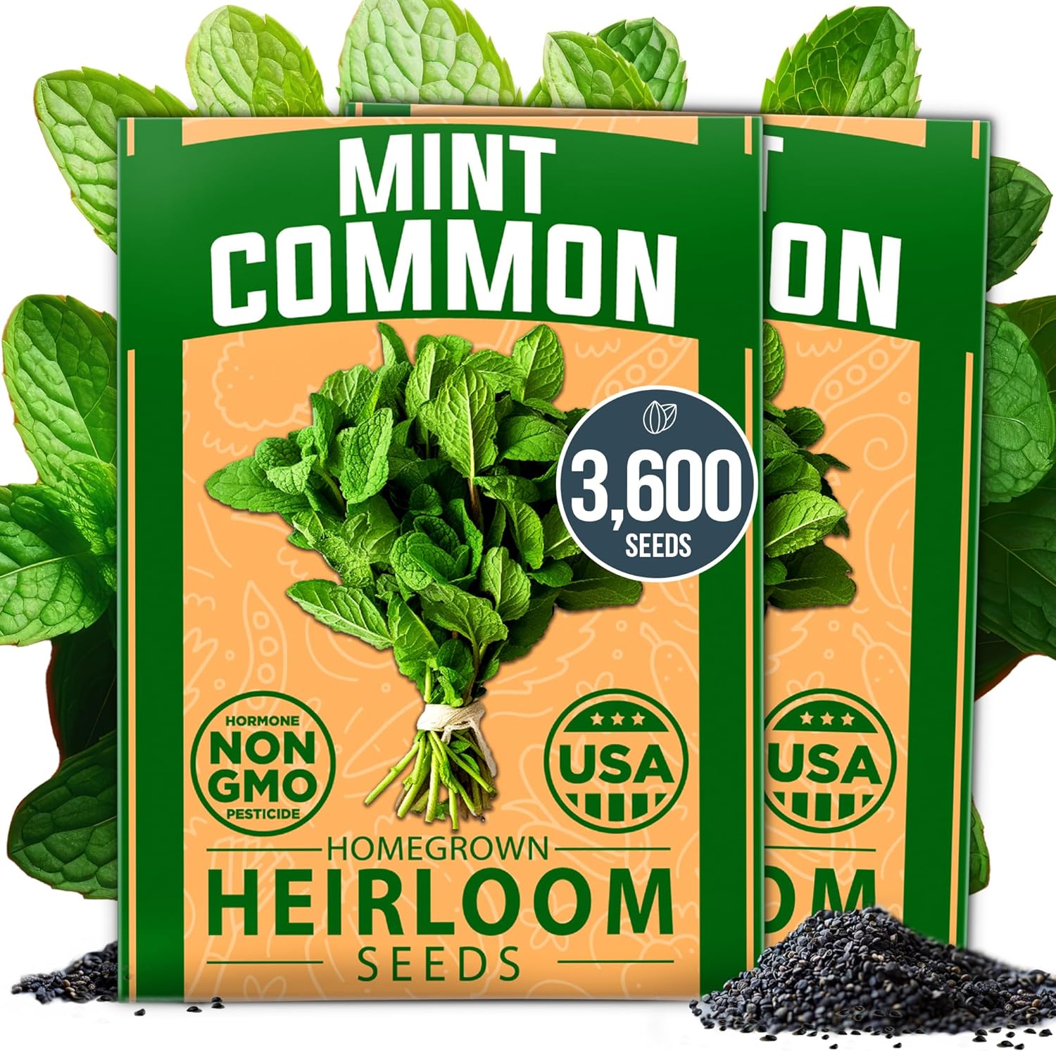 common garden seeds Premium Common Mint Seeds 2 Pack