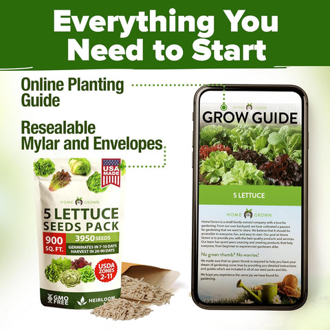 Lettuce Seed Pack – 3950 Non-GMO Heirloom Seeds (5 Salad Varieties)