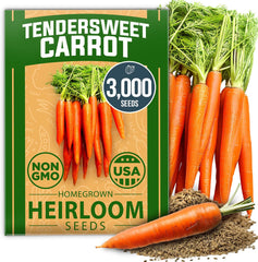 Tendersweet Carrot Seeds – 3000 Non-GMO Heirloom Seeds for Outdoor Garden Growing