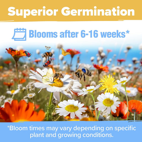 premium wildflower seeds Wildflower Seeds, 23 Varieties, 3oz, Pollinators