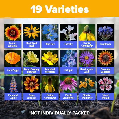 Midwest Native Wildflower Seed Mix (32,500+ Seeds, 2oz) – 15-Variety Non-GMO Perennial & Annual Blend for Pollinators & Natural Landscapes