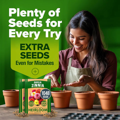 Zinnia Dahlia Seeds (1048 Count) – Premium High-Germination Flower Seeds for Vibrant Blooms, Cut Flowers & Summer Gardens
